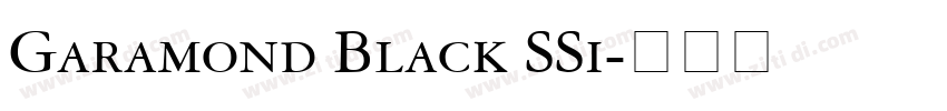 Garamond Black SSi字体转换